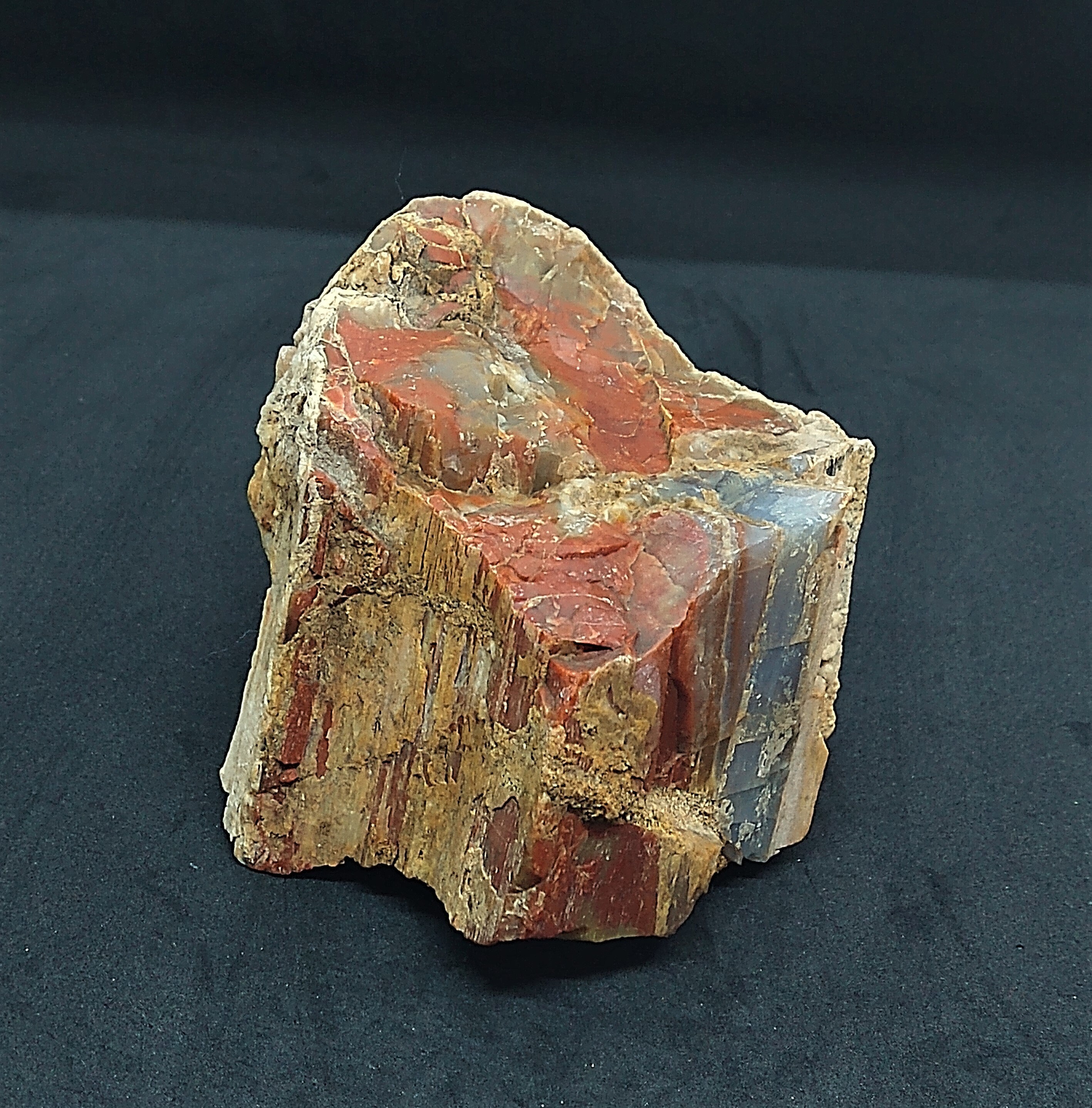 Arizona Rainbow petrified wood display piece. Amazing color and detail, Self standing
