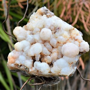 BCS-20-05 Botryoidal Chalcedony Specimen from Nevada. 8.3 OZ or 234 grams. Fluorescent Mineral image 4