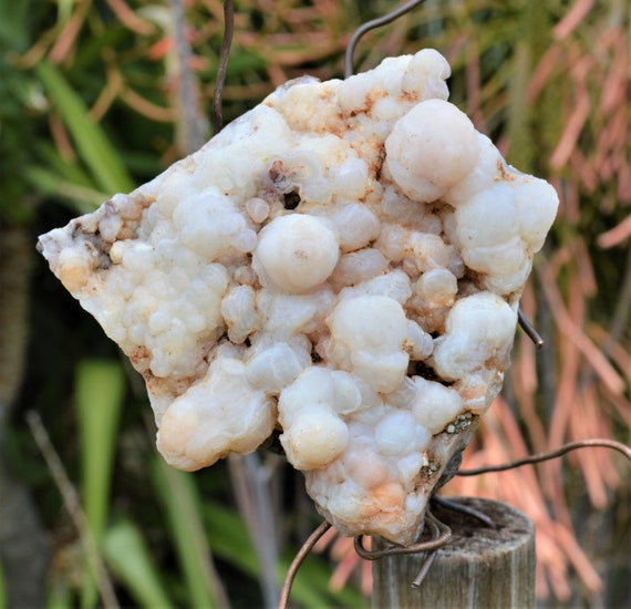 BCS-20-05 Botryoidal Chalcedony Specimen from Nevada. 8.3 OZ or 234 grams. Fluorescent Mineral