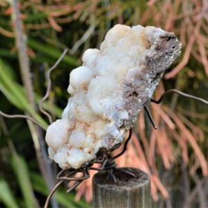 BCS-20-05 Botryoidal Chalcedony Specimen from Nevada. 8.3 OZ or 234 grams. Fluorescent Mineral image 8