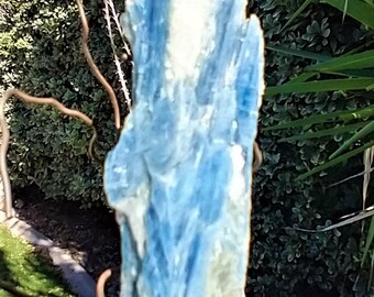 Large Quartz Crystal on Kyanite with Muscovite Mica. 4 1/2&quot; long, 1 1/2&quot; wide and 1&quot; thick. Weights 4.4 ounces or 125 grams