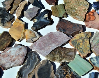 Alchemy Mines Lapidary Slab Set: Agate, Jasper, Petrified Wood - 5 Piece