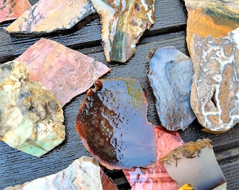 Cabbing slabs, Lapidary Supply, agates, jaspers, petrified wood, rhodonite, Montana Agates, Brazilian agates and more.
