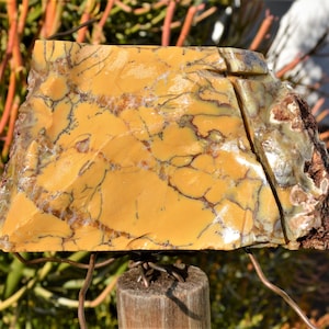 DMO-19-05: AAA grade rough Moss Opal or Dendritic common opal from, Norseman Opal Mine, Norseman, Western Australia. 1.3 pounds