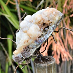 BCS-20-05 Botryoidal Chalcedony Specimen from Nevada. 8.3 OZ or 234 grams. Fluorescent Mineral image 6