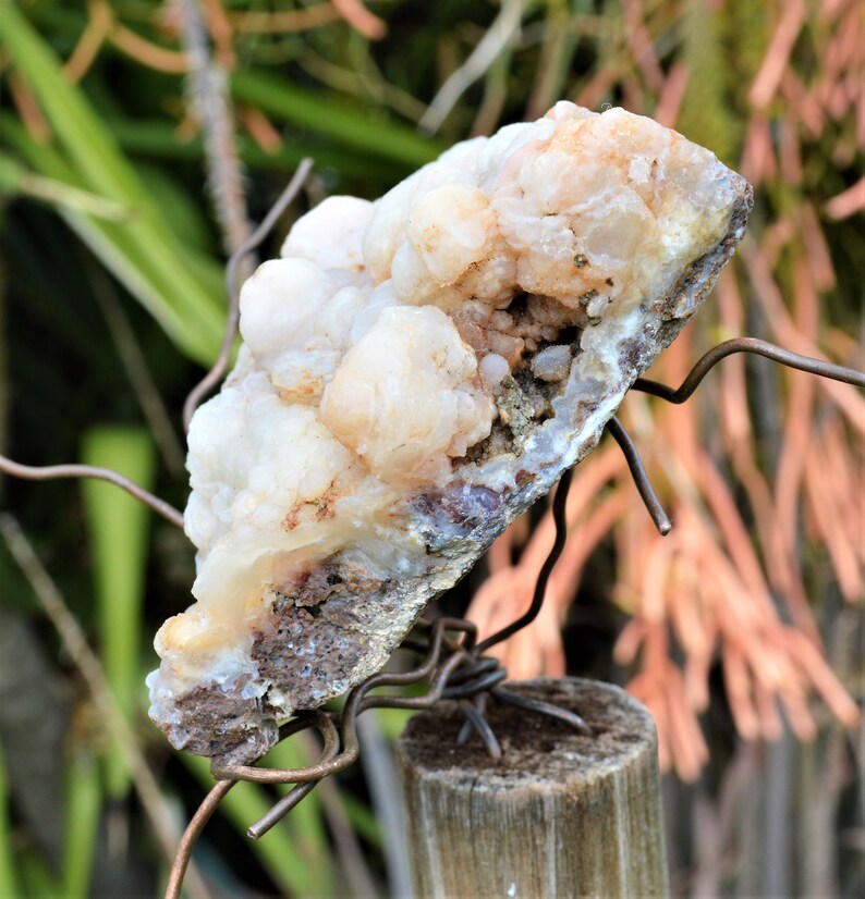 BCS-20-05 Botryoidal Chalcedony Specimen from Nevada. 8.3 OZ or 234 grams. Fluorescent Mineral image 6