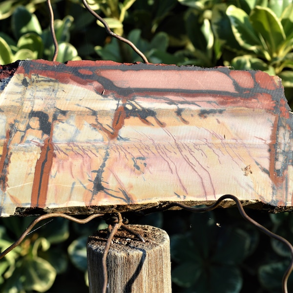 IPS20-12: RARA piedra de pintura india de colores. Este ejemplo del Valle de la Muerte que ya no está produciendo. 4 7/8 "de largo, 2 3/8" de ancho, 3/8 de espesor