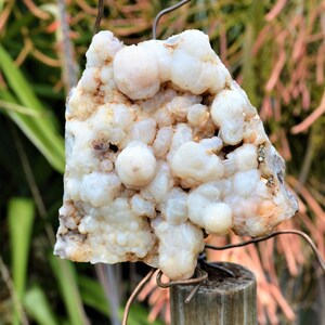 BCS-20-05 Botryoidal Chalcedony Specimen from Nevada. 8.3 OZ or 234 grams. Fluorescent Mineral image 5