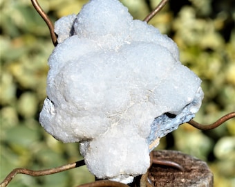Muy fresco, Calcita Botryoidal "Bolas de Nieve" de las minas de Santa Eulalia en el Distrito de Chihuahua, México.
