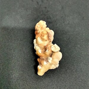 Rare Natural Kokoweef Cave Onyx Specimen también conocido como &quot;cave popcorn&quot;, es una estalactita que se encuentra en la caverna Kokoweef en el sur de California.