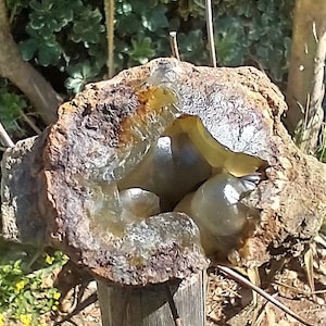 Botryoidal Agate