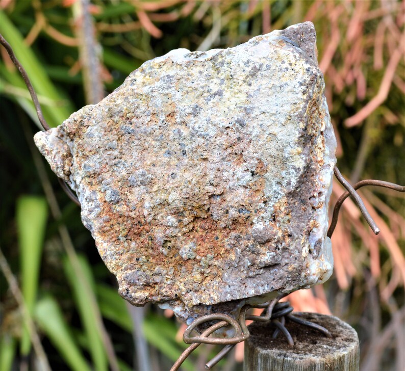 BCS-20-05 Botryoidal Chalcedony Specimen from Nevada. 8.3 OZ or 234 grams. Fluorescent Mineral image 9