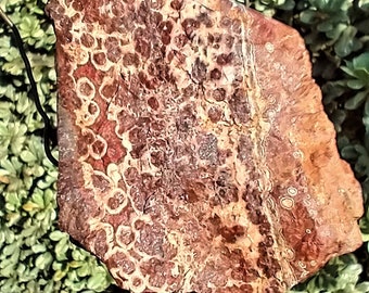 Rare Hornitos Poppy Jasper rough stone 487 grams. No longer available or mined. from an old collection