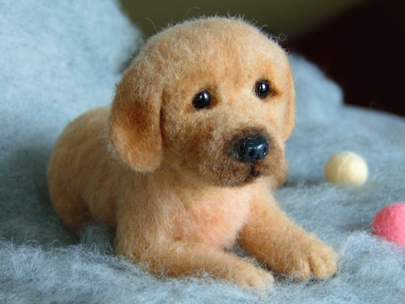 labrador toy dog