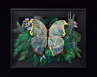 Abalone Butterfly