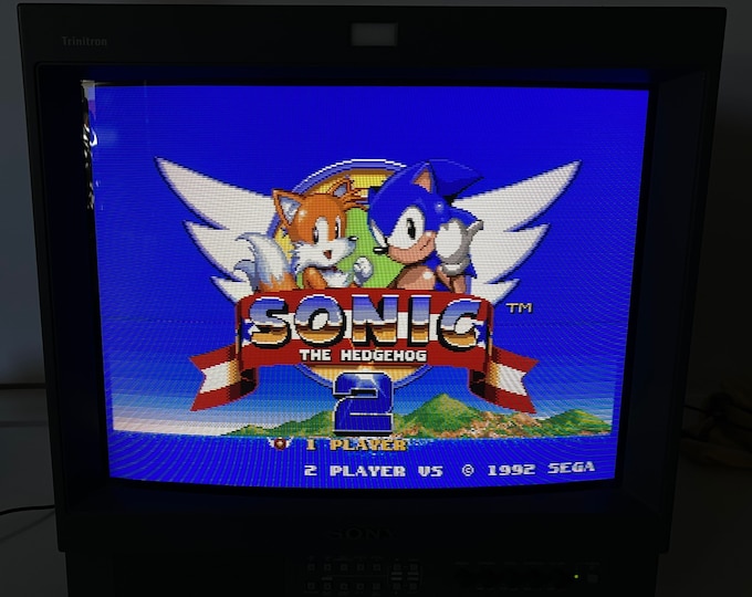 MONITEUR VIDÉO SONY 20 Pouces PVM 20M4E CRT RÉTROGAMING - EN PANNE