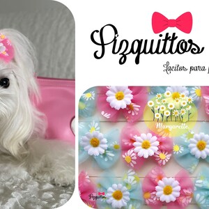 Dog Hair Bows, dogs hair bows, dog grooming bows, pet show, dog bandana, pet hair bow, small bows for dog, dogs tags, dogs bandana, bow tie