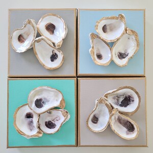 May include: Four square canvases with gold frames, each featuring a cluster of oyster shells arranged in a different pattern. The shells are a natural off-white colour with a subtle iridescent sheen.