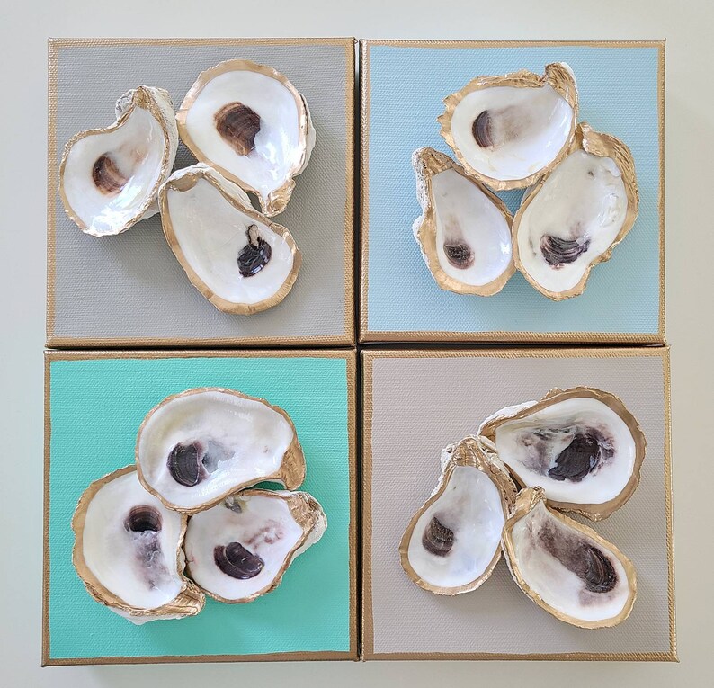 May include: Four square canvases with gold frames, each featuring a cluster of oyster shells arranged in a different pattern. The shells are a natural off-white colour with a subtle iridescent sheen.