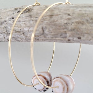 May include: Gold hoop earrings with a white and brown seashell charm on each hoop.