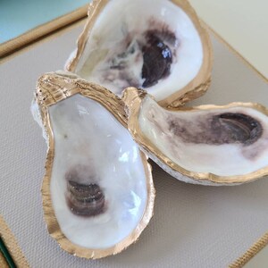 May include: Three oyster shells with gold trim arranged in a butterfly shape on a light beige background.