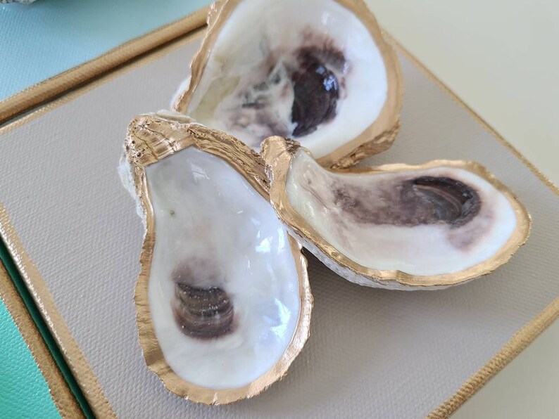 May include: Three oyster shells with gold trim arranged in a butterfly shape on a light beige background.