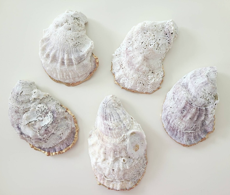 Pearl White Oyster Shell Ring Dish, Beachy Wedding Favors, Gifts for Bride, Small Coastal Trinket Dish, Nautical Flat Lay Props image 3