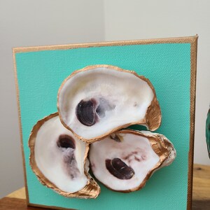 May include: Three oyster shells are arranged on a teal canvas with gold trim. The shells are painted white with gold accents and have a natural brown interior.