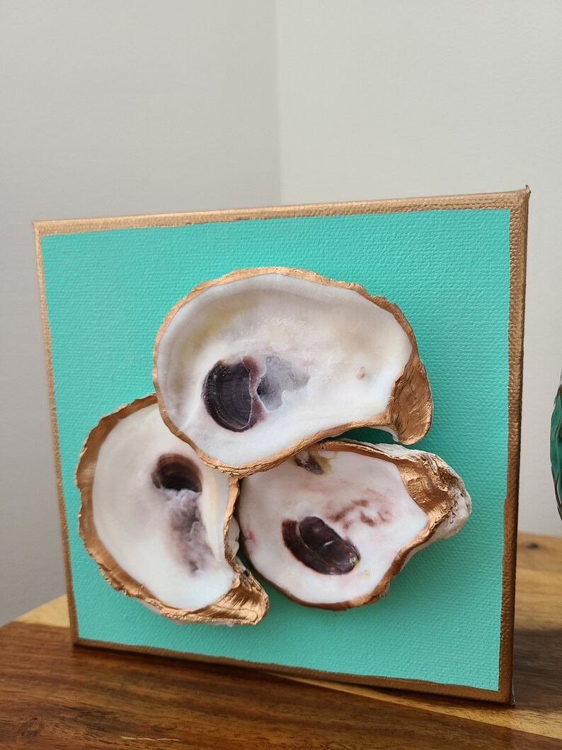 May include: Three oyster shells are arranged on a teal canvas with gold trim. The shells are painted white with gold accents and have a natural brown interior.