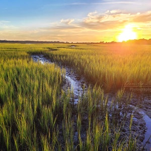 Charleston Prints, Marshland, Wetland, Lowcountry Print, Marsh Print, Johns Island Print, Southern Decor, Landscape print