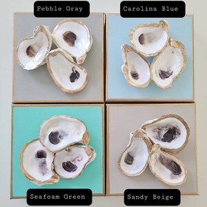 May include: Four square canvases with different coloured backgrounds and gold trim. Each canvas features a cluster of oyster shells painted gold with a natural brown interior. The canvases are labelled "Pebble Gray", "Carolina Blue", "Seafoam Green", and "Sandy Beige".