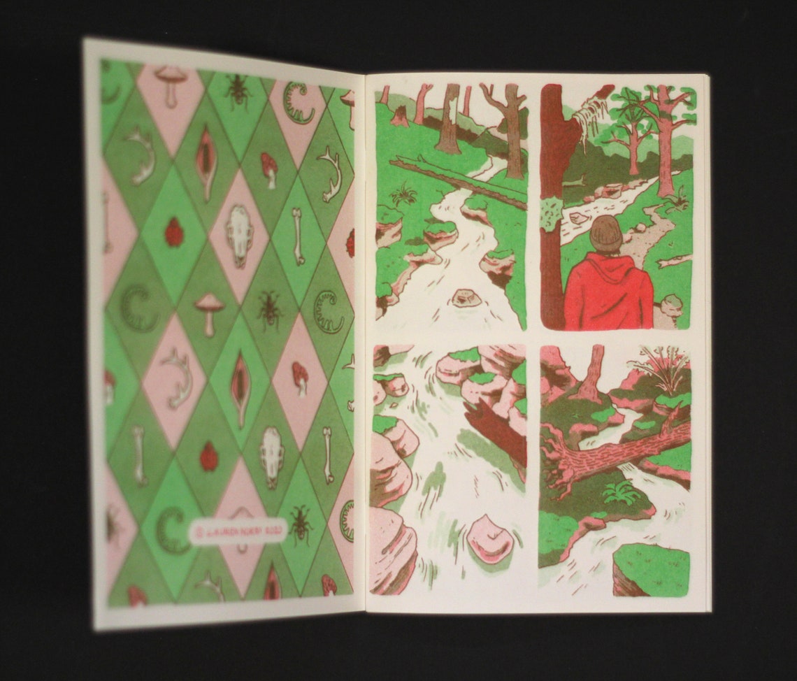 Risograph Comic Zine 8 Days on the Skagit | Etsy