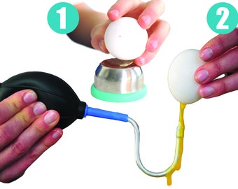 Kit de soplado de huevos - Bomba sopladora de huevos de un solo orificio y perforador de huevos: la forma más fácil de vaciar cáscaras de huevos para manualidades de Pascua y decoración del hogar