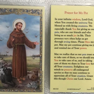 st francis prayer for animals infinite