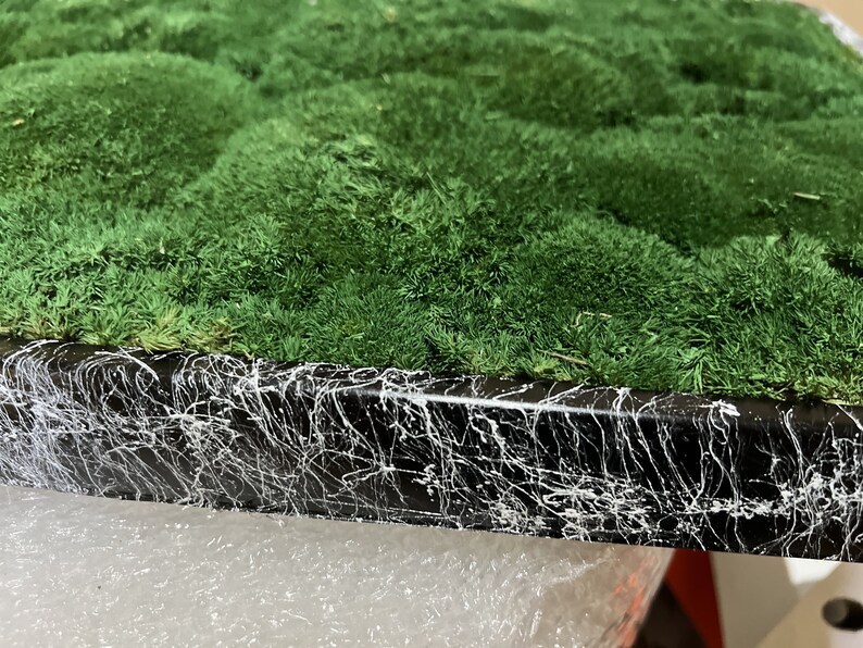 Luxury Live Pole Moss Bath Mat Modern Bath Mats Etsy