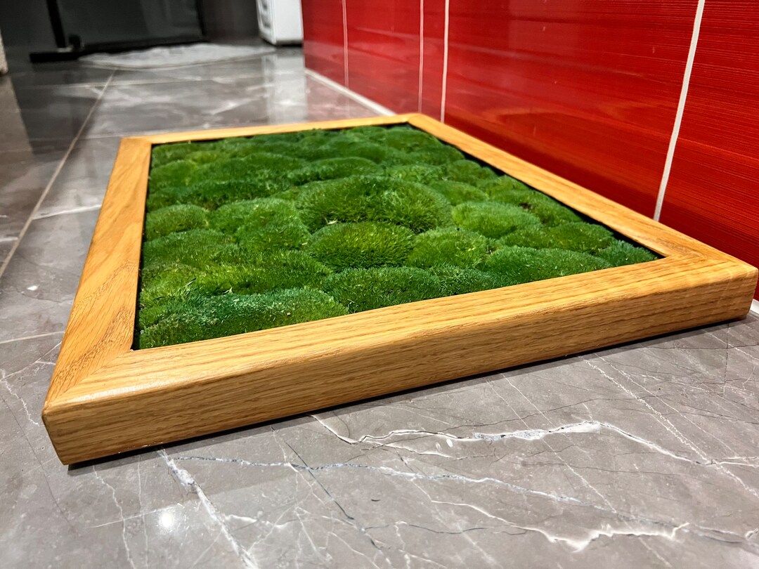 Luxury Live Pole Moss Bath Mat Modern Bath Mats Etsy