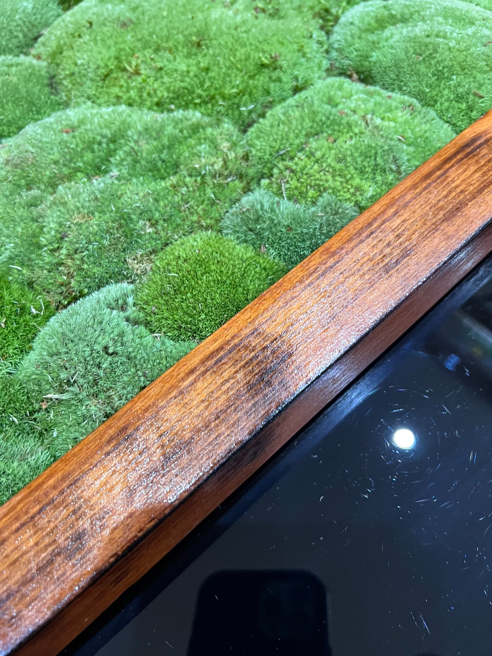 Luxury Live Pole Moss Bath Mat Modern Bath Mats Etsy