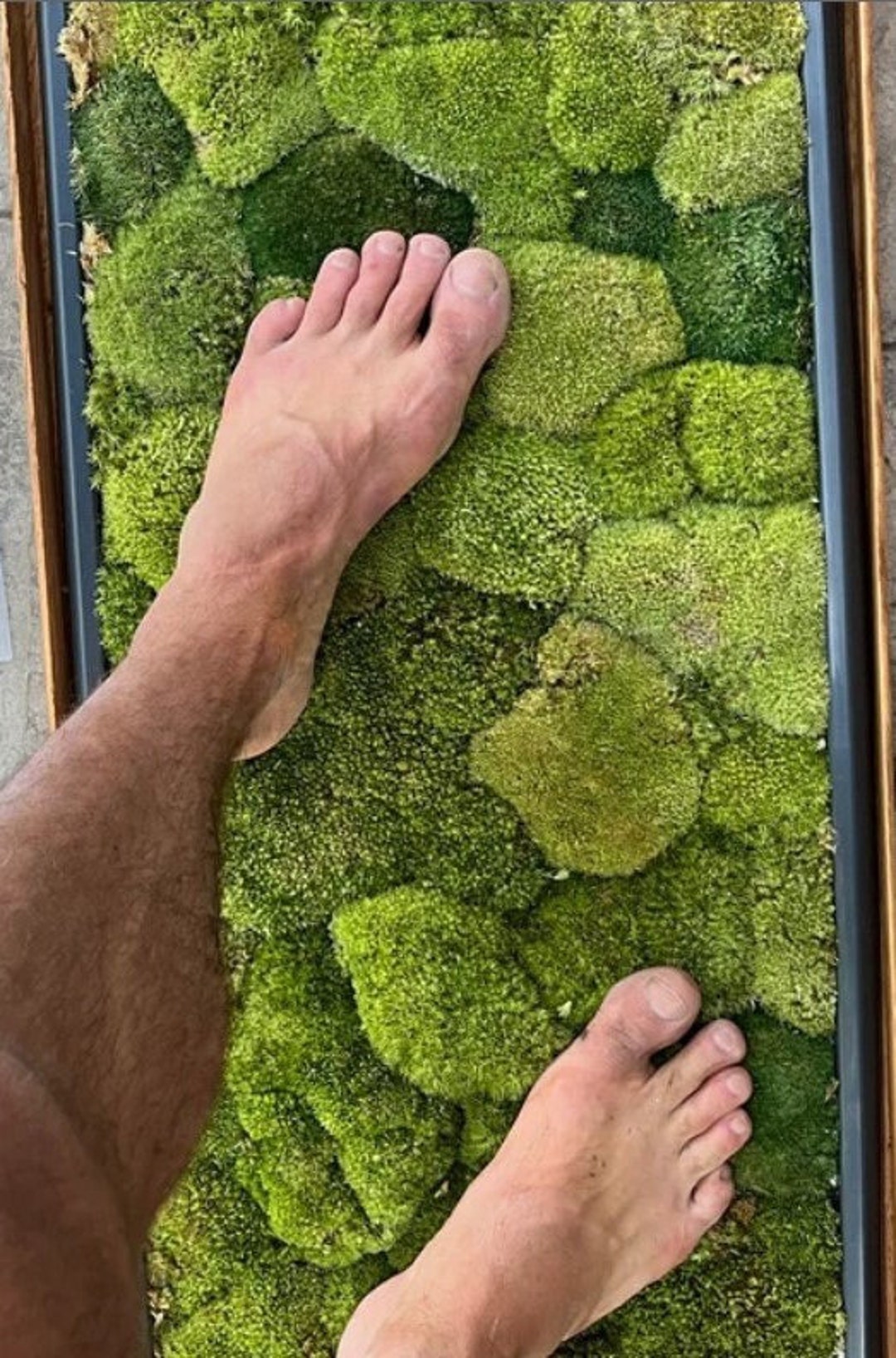 Luxury Live Pole Moss Bath Mat Modern Bath Mats Etsy