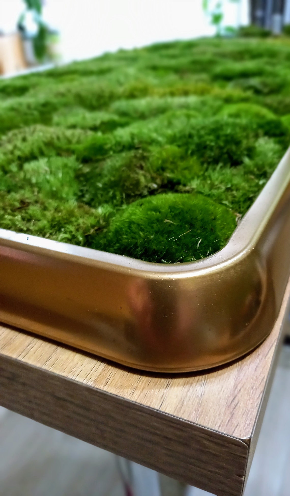 Luxury Live Pole Moss Bath Mat Modern Bath Mats Etsy