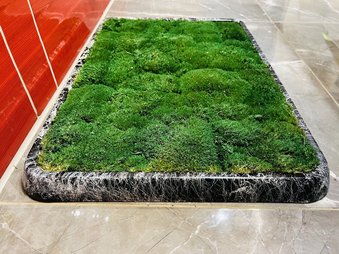 Luxury Live Pole Moss Bath Mat Modern Bath Mats Etsy