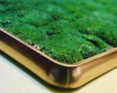 Personalized Green Grass & Preserved Moss TOILET BATH MAT, Elegant Bathroom Décor Minimalistic Mat with Frame