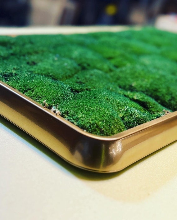 Grass Green Moss Bath Mat for Bathroom Cute 3D Moss Kitchen Rug Non Slip  Moss a
