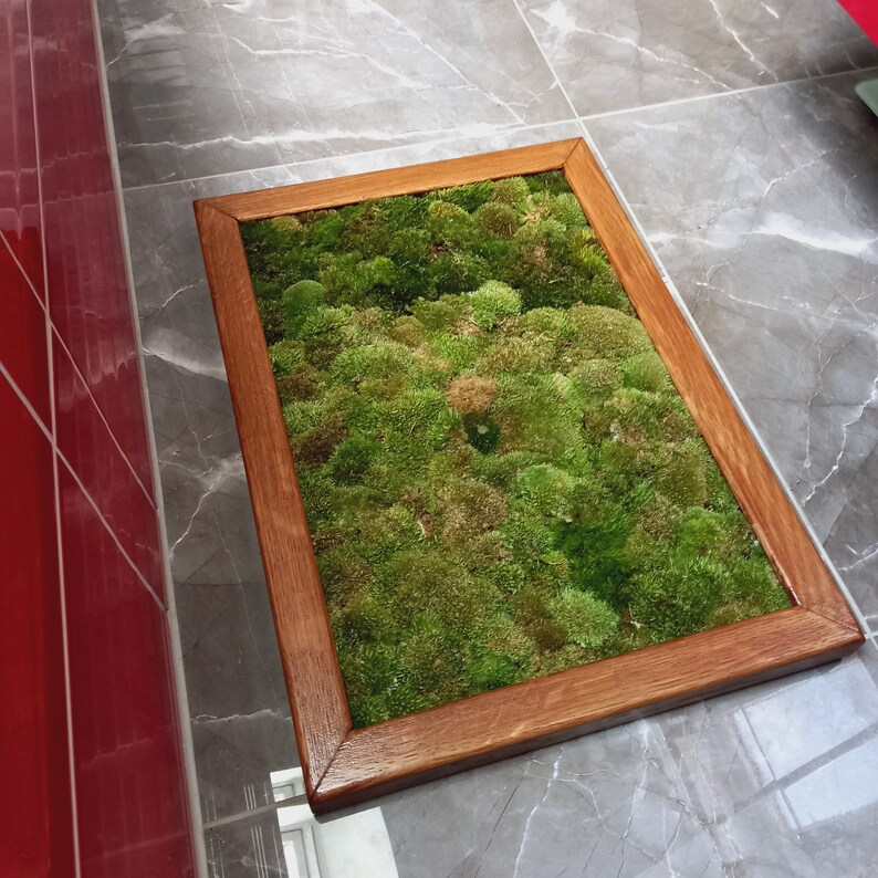 Luxury Live Pole Moss Bath Mat Modern Bath Mats Etsy