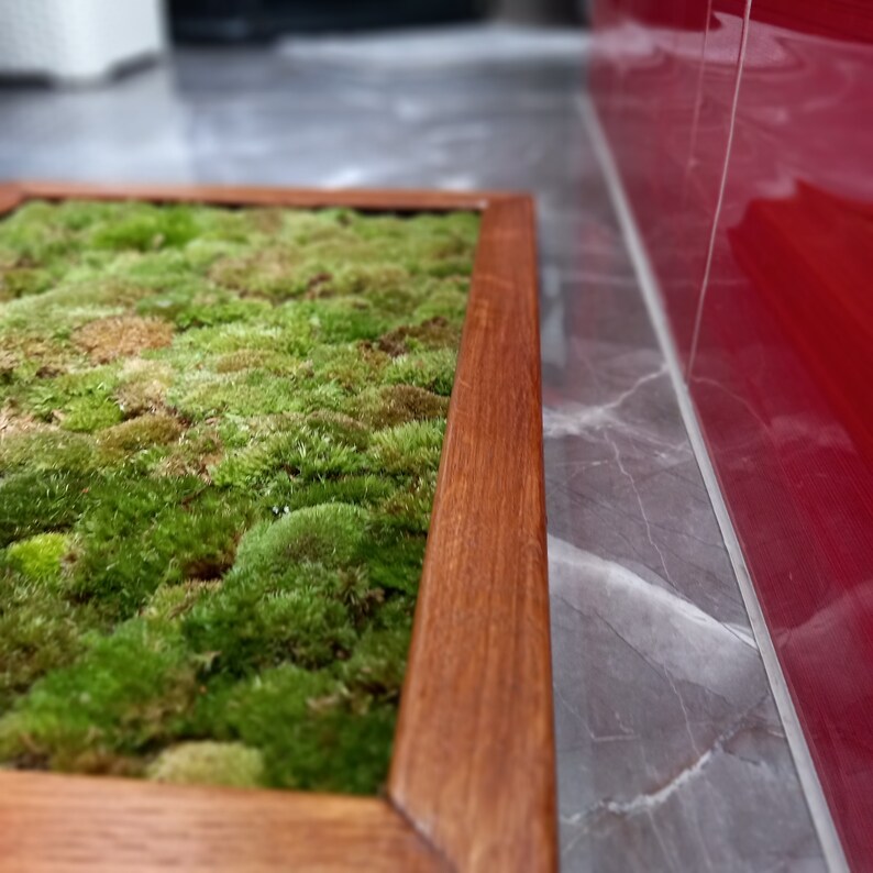 Luxury Live Pole Moss Bath Mat Modern Bath Mats Etsy