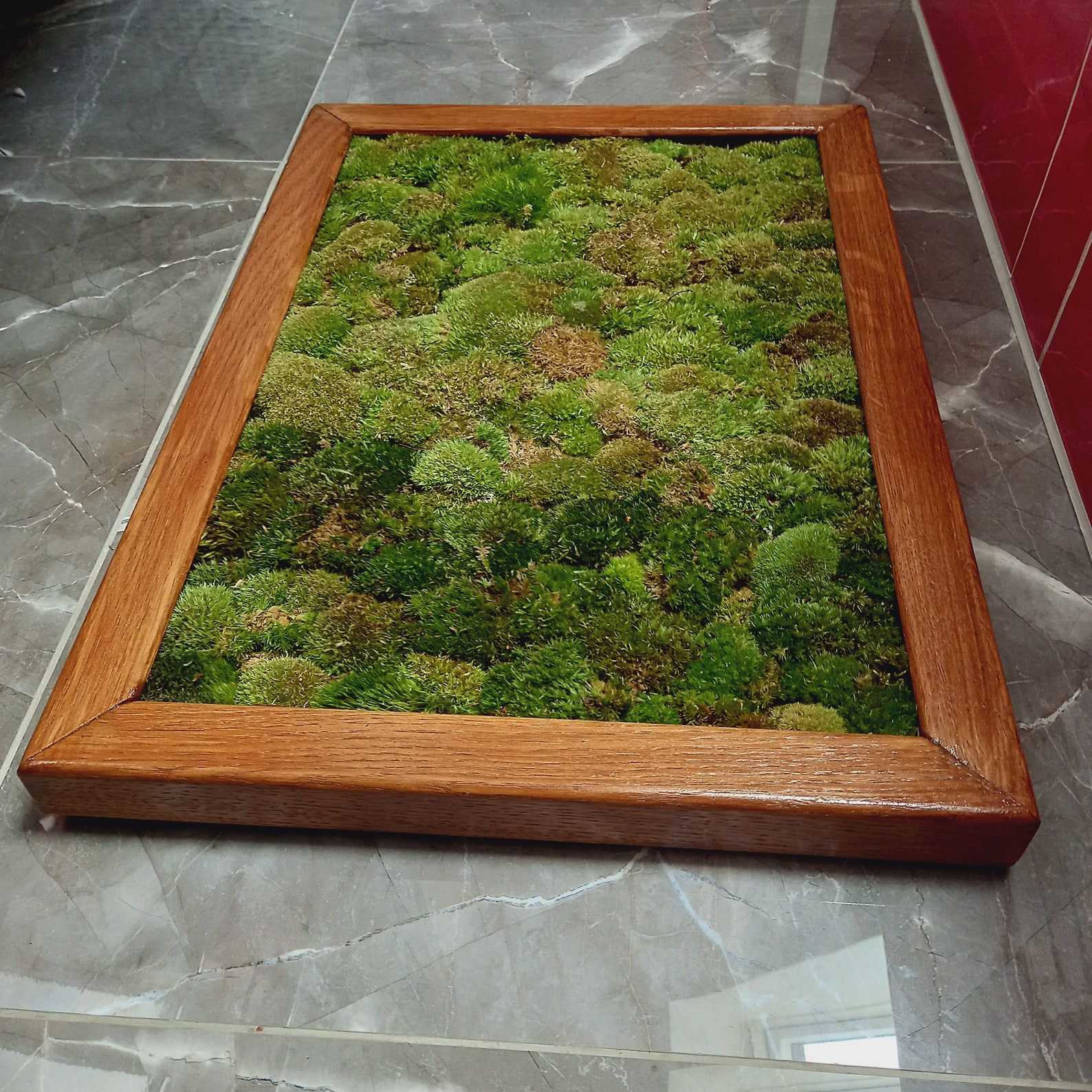 Luxury Live Pole Moss Bath Mat Modern Bath Mats Etsy