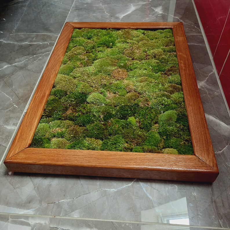 Luxury Live Pole Moss Bath Mat Modern Bath Mats Etsy