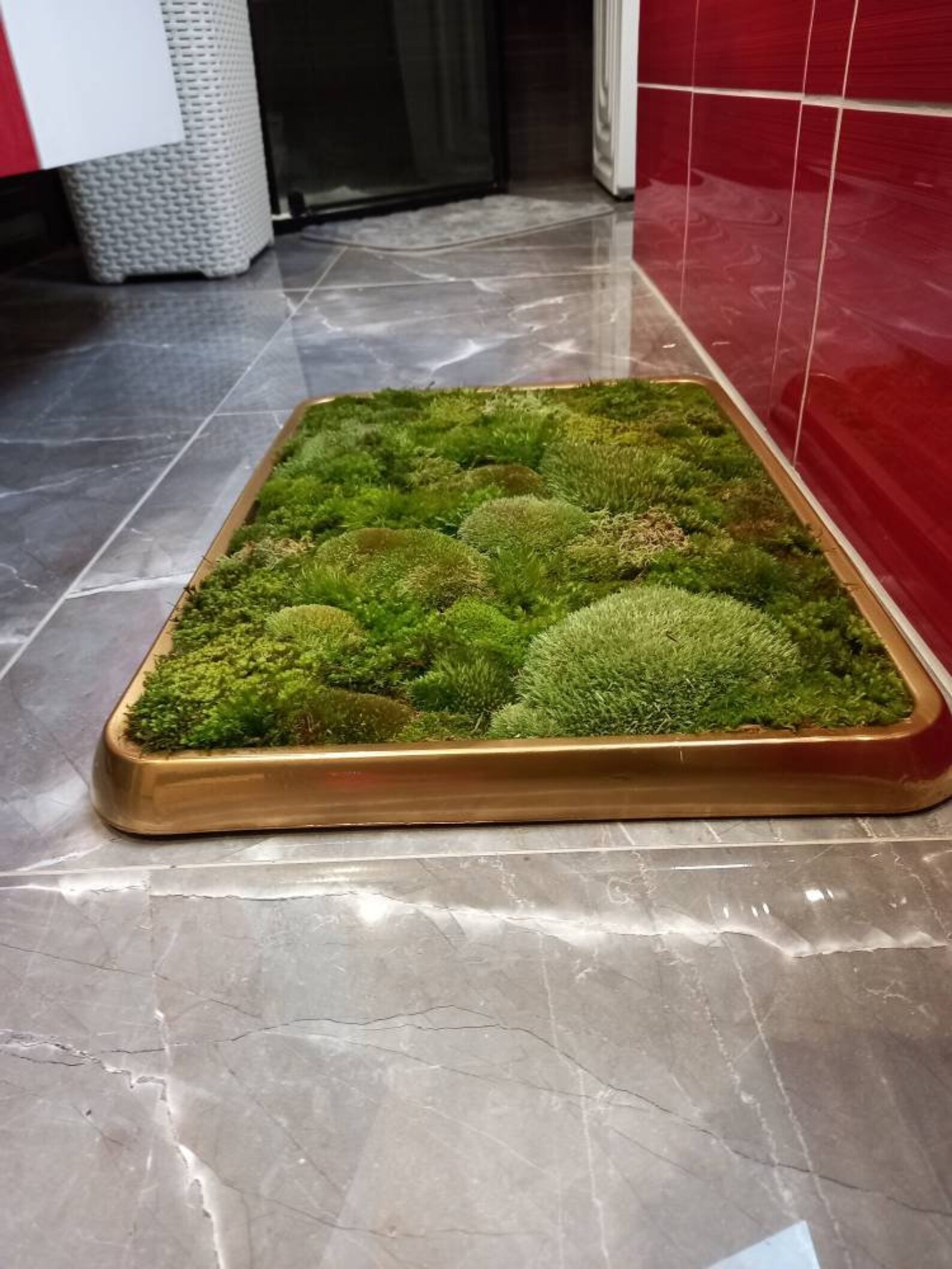 Luxury Live Pole Moss Bath Mat Modern Bath Mats Etsy