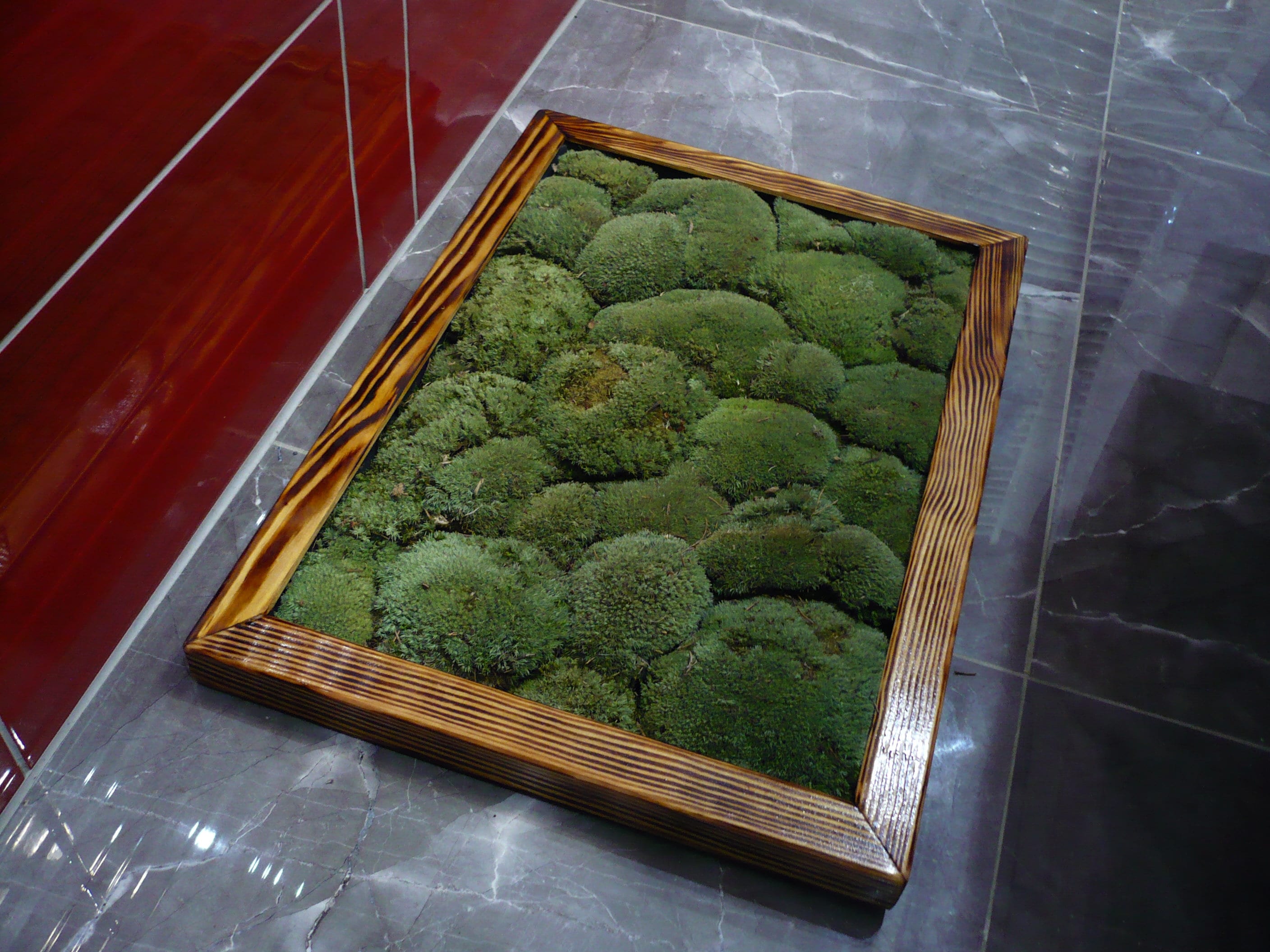 Luxury Live Pole Moss Bath Mat Modern Bath Mats Etsy