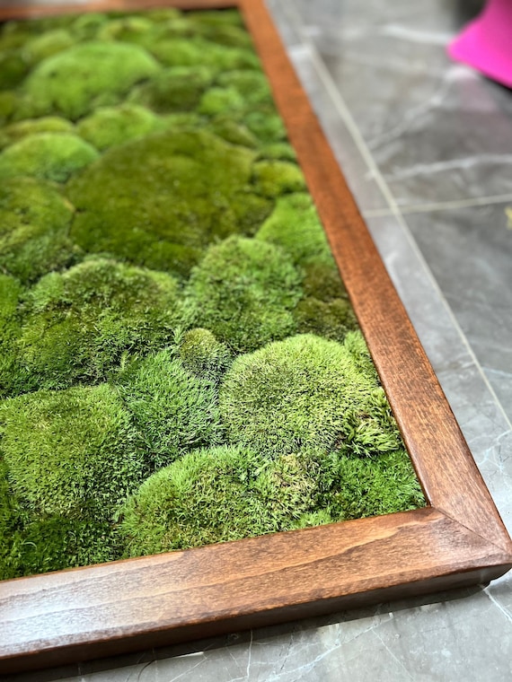 A Better Moss Bathmat 