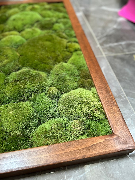 A Better Moss Bathmat 